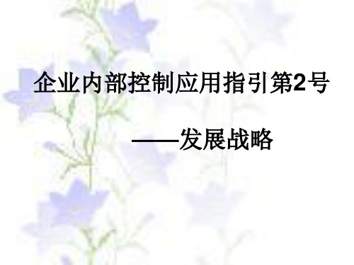 内控第2号：发展战略