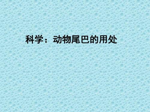 动物尾巴的用处