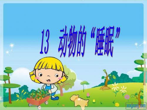13、《动物的睡眠》修改版