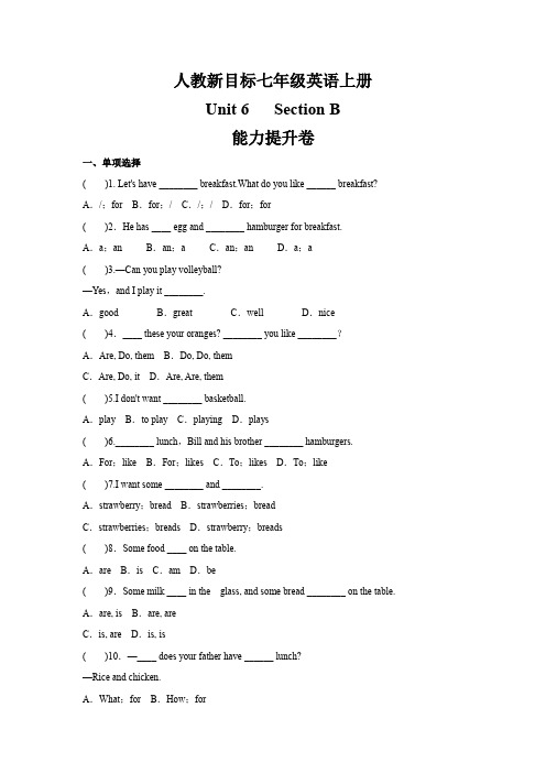 人教版七年级英语上册   Unit6  Section B  能力提升卷(含答案)