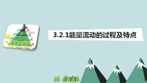 高中生物能量流动