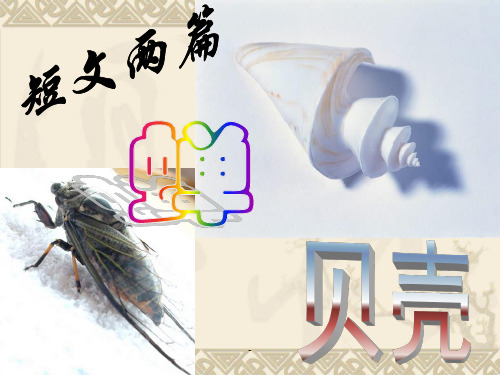 《短文两篇》(蝉-贝壳)PPT课件