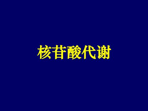 14核苷酸代谢2013