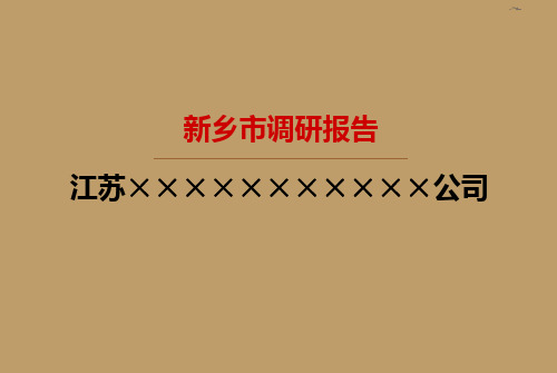 河南新乡商业及农副产品调研报告2013-6解析