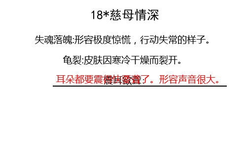 五年级上册语文长江作业18※慈母情深答案