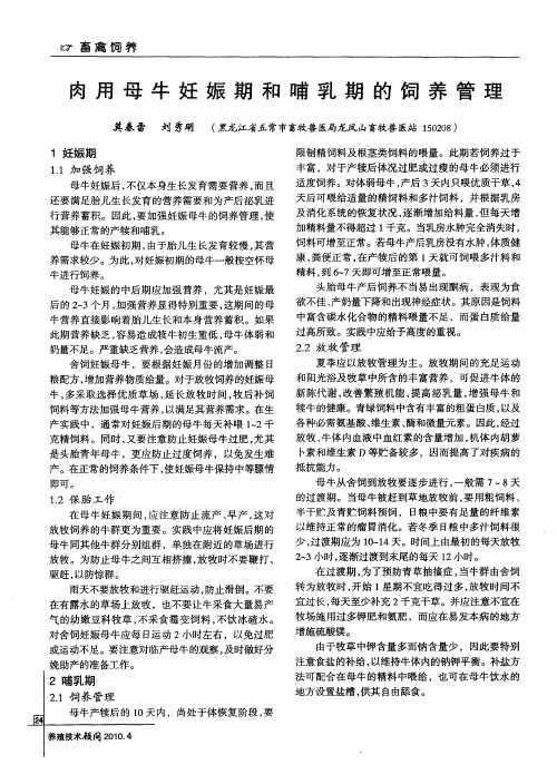 肉用母牛妊娠期和哺乳期的饲养管理