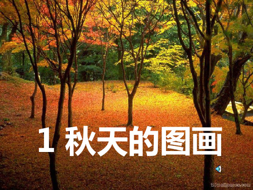 小学二年级上册语文第一课秋天的图画(1)PPT课件