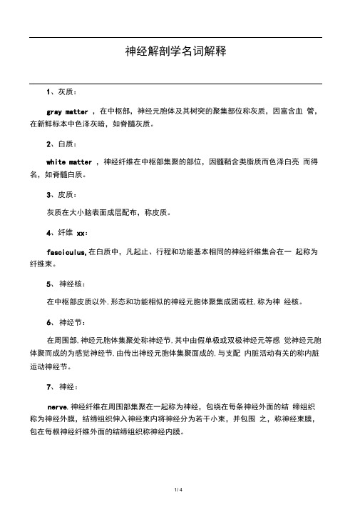 神经解剖学名词解释