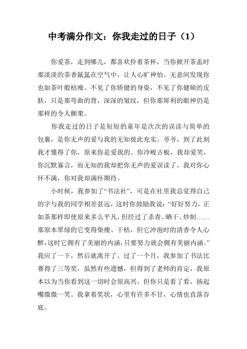 中考满分作文：你我走过的日子(1)