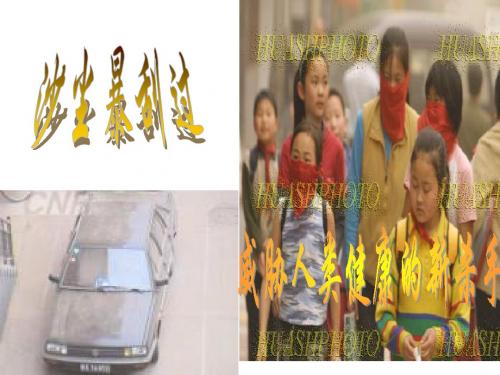 樵夫,别砍那棵树教学课件
