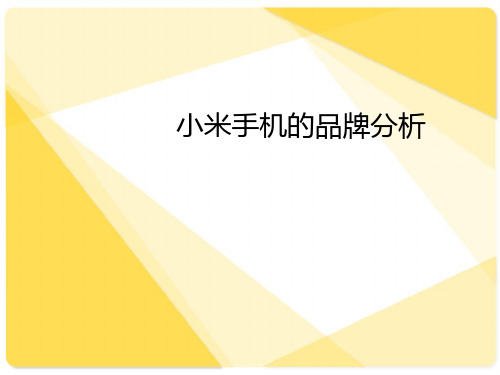 某某手机品牌战略分析