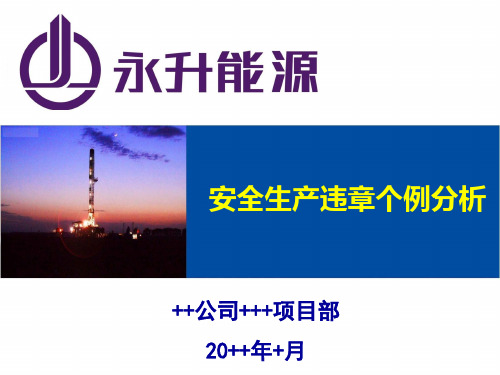 企业安全生产违章个例分析——PPT课件15页