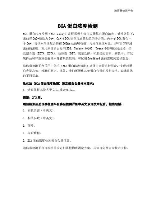 BCA蛋白浓度检测