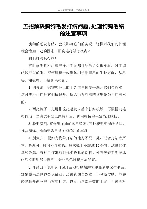 五招解决狗狗毛发打结问题,处理狗狗毛结的注意事项