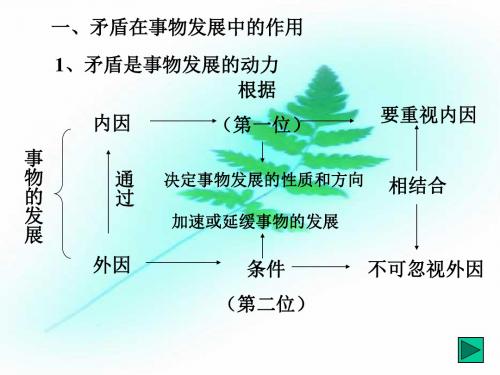 一、矛盾在事物发展中的作用(精)