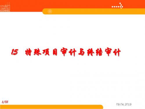 特殊项目审计与终结审计.ppt