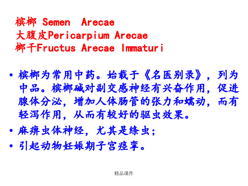 槟榔(1)