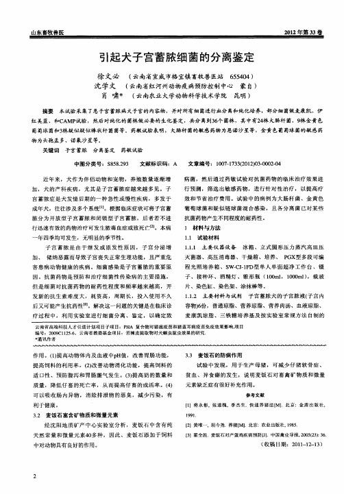 引起犬子宫蓄脓细菌的分离鉴定