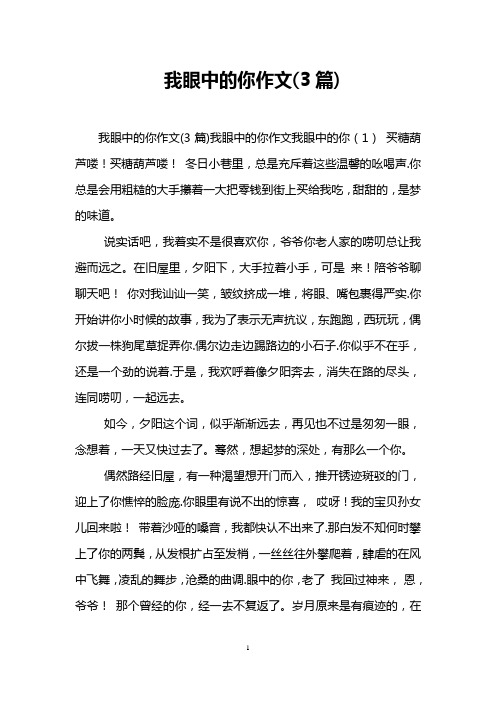 我眼中的你作文(3篇)