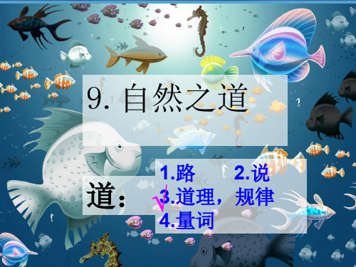 23自然之道完美版