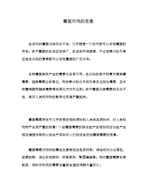 霉菌对鸡的危害