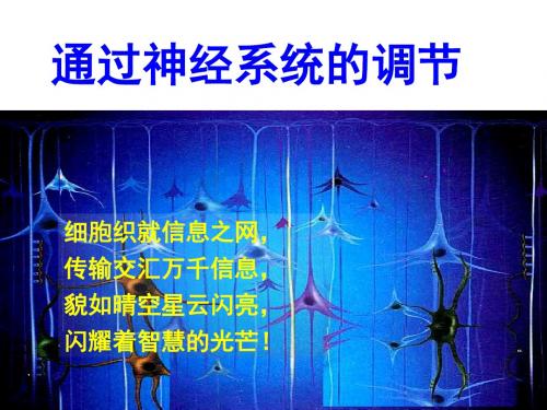 神经系统的调节 Microsoft PowerPoint 演示文稿