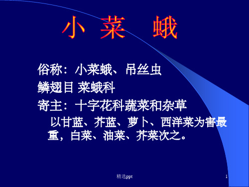 小菜蛾及其综合防治ppt课件