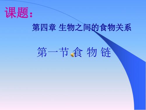 【初中生物】食物链PPT课件4