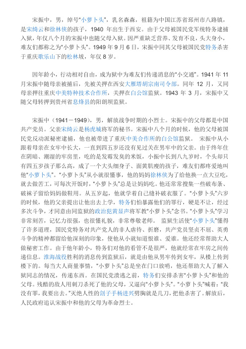 宋振中资料