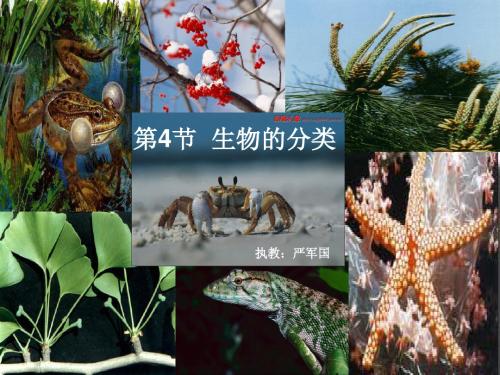 七年级科学上(华师大版)生物的分类