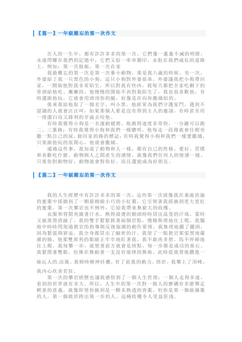 小学一年级难忘的第一次作文【四篇】