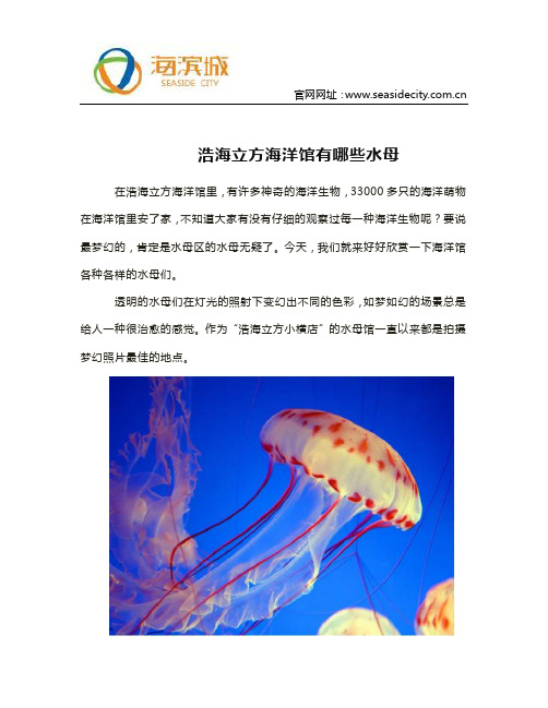 浩海立方海洋馆有哪些水母