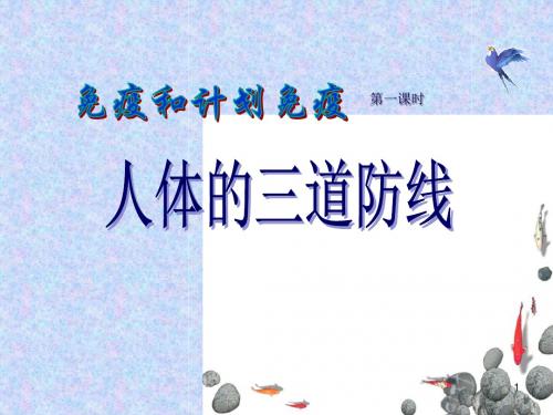 人体的三道防线说课 ppt课件