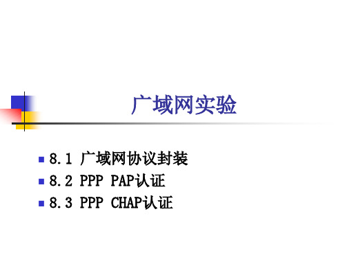 广域网实验