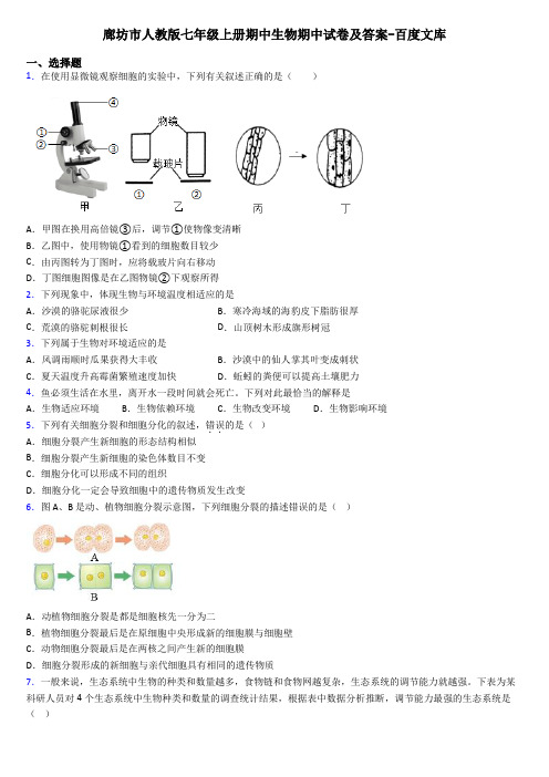 廊坊市人教版七年级上册期中生物期中试卷及答案-百度文库