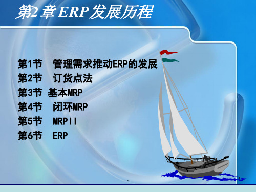 ERP的形成过程PPT课件