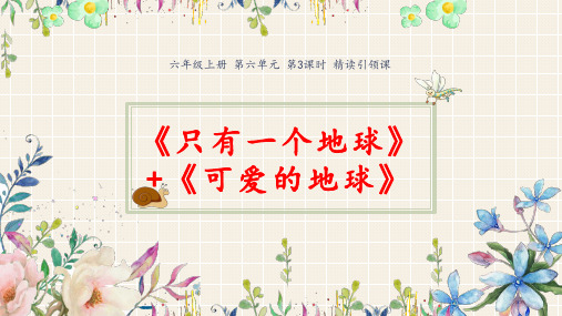 《只有一个地球》课件