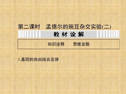 第五单元第二课时孟德尔的豌豆杂交实验二课件新人教版