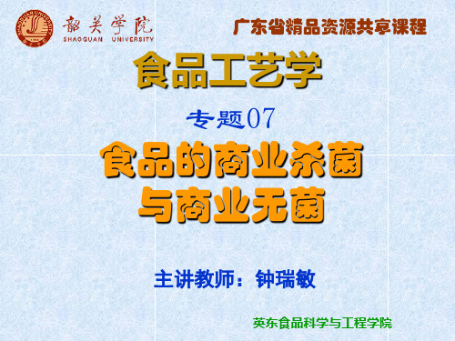 嗜热脂肪芽孢杆菌