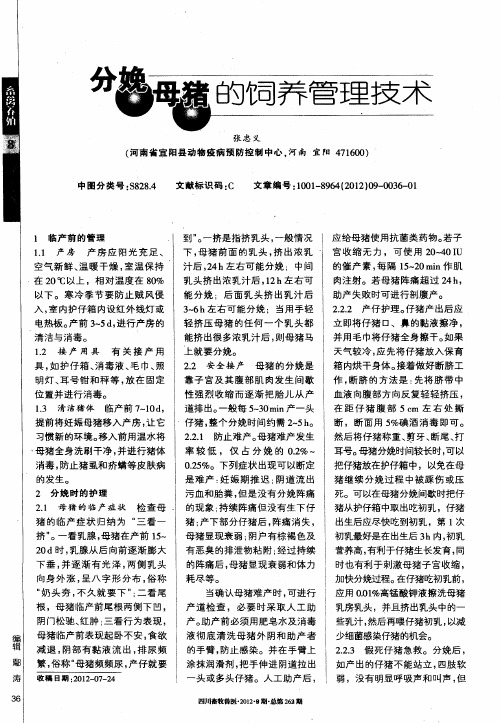 分娩母猪的饲养管理技术