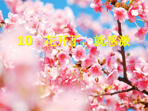 西师大版小学三年级下册语文第10课《花开了,就感激PPT-课件》