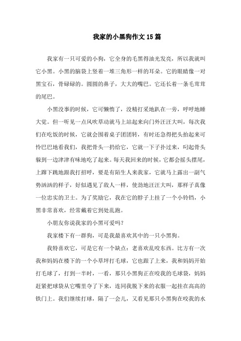 我家的小黑狗作文精选