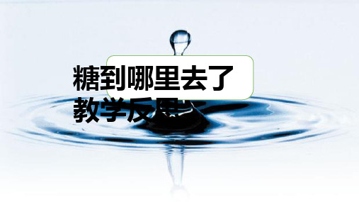一年级下册科学课件-2 糖到哪里去了教学反思  冀人2017课标版(共14张PPT)