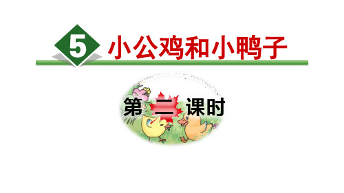 《小公鸡和小鸭子》(第二课时)课件PPT
