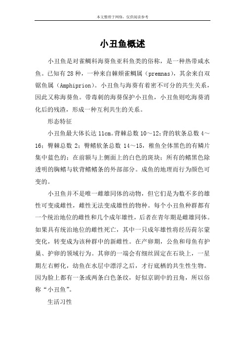 小丑鱼概述