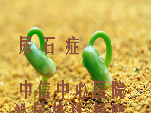 《泌尿系统结石》幻灯片PPT