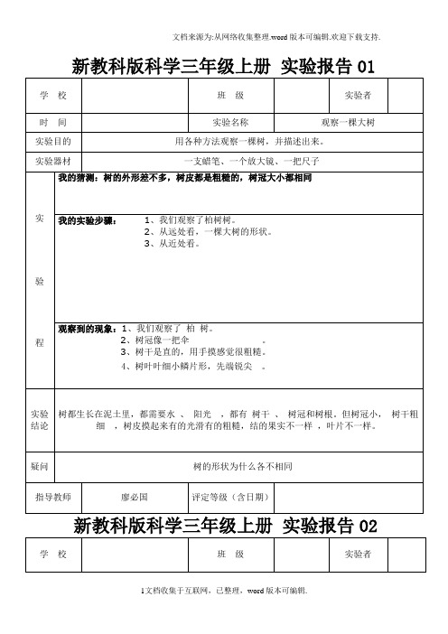 教科版三年级上册科学实验报告单