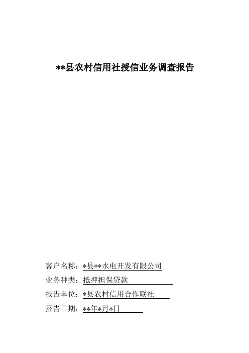 水电站项目贷款授信调查报告