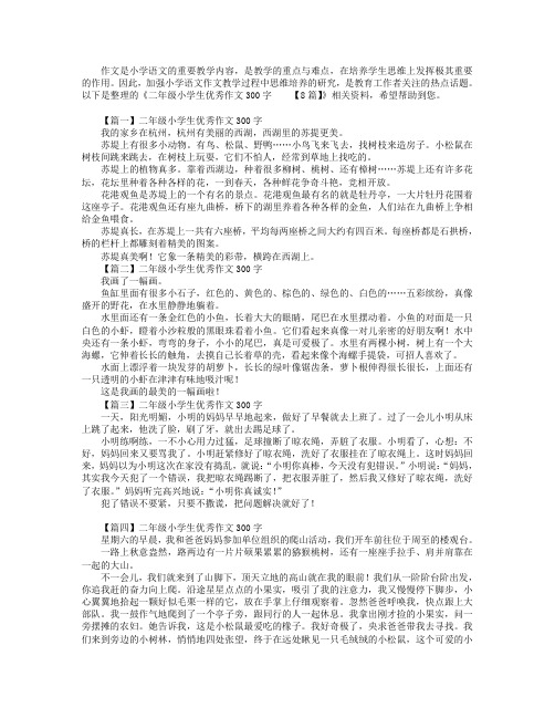 二年级小学生优秀作文300字【8篇】