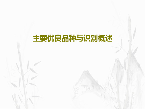 主要优良品种与识别概述共25页文档